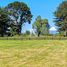  Land for sale in Frutillar, Llanquihue, Frutillar