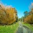  Terreno (Parcela) en venta en Puerto Varas, Llanquihue, Puerto Varas