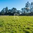  Terreno (Parcela) en venta en Puerto Varas, Llanquihue, Puerto Varas