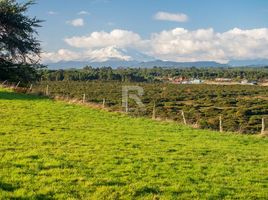  Terreno (Parcela) en venta en Puerto Montt, Llanquihue, Puerto Montt