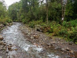  Terreno (Parcela) en venta en Puerto Varas, Llanquihue, Puerto Varas