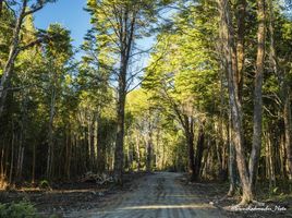  Terreno (Parcela) en venta en Puerto Varas, Llanquihue, Puerto Varas