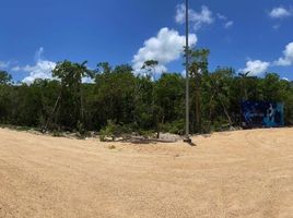  Terreno (Parcela) en venta en Cozumel, Quintana Roo, Cozumel, Quintana Roo