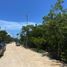  Terreno (Parcela) en venta en Cozumel, Quintana Roo, Cozumel, Quintana Roo
