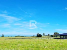  Terreno (Parcela) en venta en Puerto Varas, Llanquihue, Puerto Varas