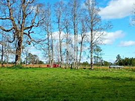  Terreno (Parcela) en venta en Los Muermos, Llanquihue, Los Muermos