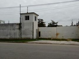 在Campeche出租的 土地, Carmen, Campeche