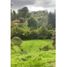  Land for sale in Guarne, Antioquia, Guarne