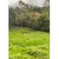  Land for sale in Guarne, Antioquia, Guarne