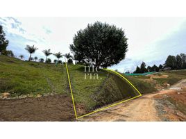  Land for sale in Guarne, Antioquia, Guarne