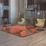 Studio Appartement zu verkaufen in Rosario, Santa Fe, Rosario