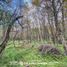  Land for sale in Neuquen, Los Lagos, Neuquen