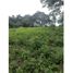  Land for sale in Cumaral, Meta, Cumaral