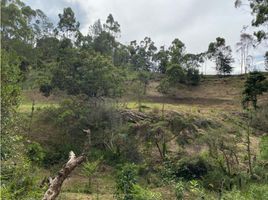  Terreno (Parcela) en venta en Rionegro, Antioquia, Rionegro