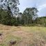  Land for sale in Rionegro, Antioquia, Rionegro