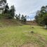  Terreno (Parcela) en venta en Rionegro, Antioquia, Rionegro