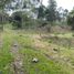  Land for sale in Rionegro, Antioquia, Rionegro