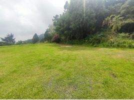  Land for sale in Envigado, Antioquia, Envigado