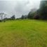  Land for sale in Envigado, Antioquia, Envigado