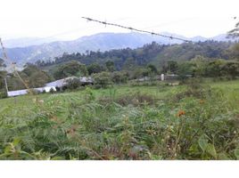 Studio House for sale in Colombia, Quipile, Cundinamarca, Colombia