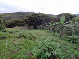  Land for sale in La Cumbre, Valle Del Cauca, La Cumbre