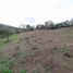  Land for sale in La Cumbre, Valle Del Cauca, La Cumbre