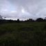  Land for sale in La Cumbre, Valle Del Cauca, La Cumbre