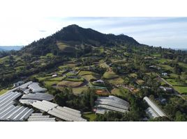 Terrain à vendre à Rionegro, Antioquia, Rionegro, Antioquia