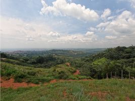  Terreno (Parcela) en venta en Cali, Valle Del Cauca, Cali