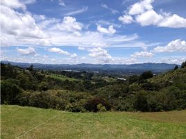  Land for sale in Rionegro, Antioquia, Rionegro