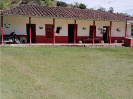 4 Habitación Casa en venta en Guarne, Antioquia, Guarne