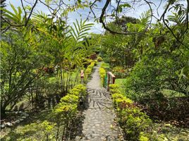 4 Habitación Casa en venta en Valle Del Cauca, Palmira, Valle Del Cauca