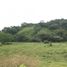  Land for sale in Cali, Valle Del Cauca, Cali