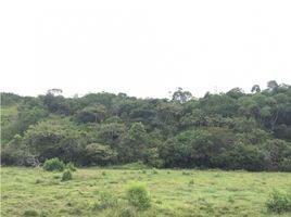  Land for sale in Cali, Valle Del Cauca, Cali