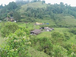  Terreno (Parcela) en venta en Manizales, Caldas, Manizales