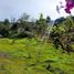  Land for sale in San Vicente, Antioquia, San Vicente