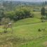  Grundstück zu verkaufen in Santa Rosa De Cabal, Risaralda, Santa Rosa De Cabal