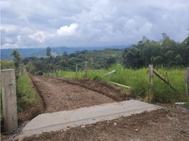  Grundstück zu verkaufen in Santa Rosa De Cabal, Risaralda, Santa Rosa De Cabal