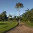  Terreno (Parcela) en venta en Merida, Yucatán, Merida, Yucatán