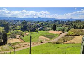  Land for sale in Envigado, Antioquia, Envigado