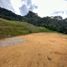 Terrain à vendre à La Ceja, Antioquia, La Ceja, Antioquia, Colombie