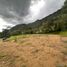  Land for sale in La Ceja, Antioquia, La Ceja, Antioquia