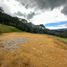  Land for sale in La Ceja, Antioquia, La Ceja, Antioquia