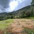  Land for sale in La Ceja, Antioquia, La Ceja, Antioquia