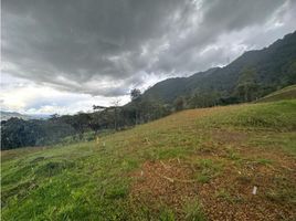 Terrain à vendre à La Ceja, Antioquia, La Ceja, Antioquia, Colombie