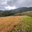 Terrain à vendre à La Ceja, Antioquia, La Ceja, Antioquia, Colombie