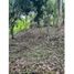  Land for sale in El Colegio, Cundinamarca, El Colegio
