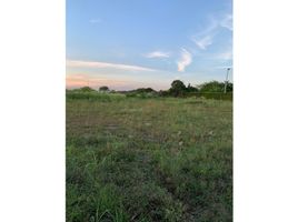  Land for sale in El Cerrito, Valle Del Cauca, El Cerrito