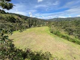  Grundstück zu verkaufen in Retiro, Antioquia, Retiro, Antioquia