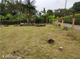  Terreno (Parcela) en venta en Armenia, Quindio, Armenia